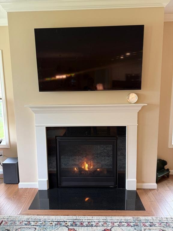 186 Stone Hill Dr Unit 186, Northbridge, MA 01588 - detailed view of a fireplace with flush hearth, wood finished floors, crown molding, and baseboards