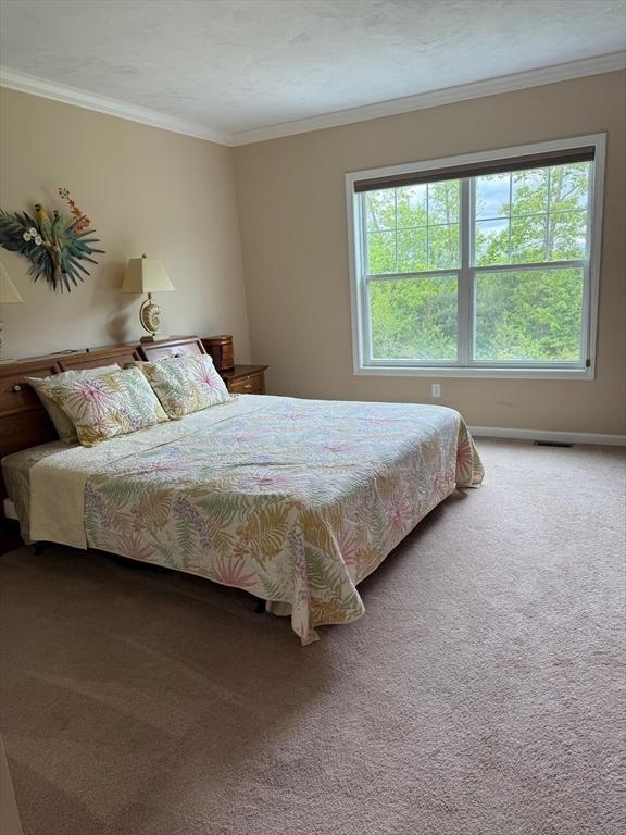 186 Stone Hill Dr Unit 186, Northbridge, MA 01588 - bedroom featuring carpet flooring, multiple windows, crown molding, and baseboards
