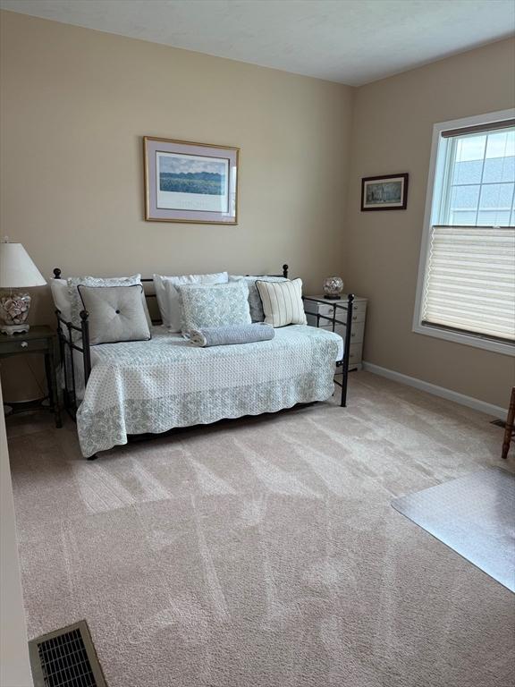 186 Stone Hill Dr Unit 186, Northbridge, MA 01588 - bedroom featuring carpet flooring and baseboards