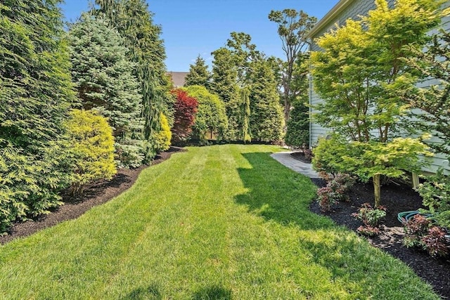 35 Harvard St, Winchester, MA 01890 - view of grassy yard