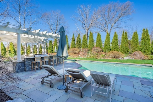 view of swimming pool with a patio area, exterior bar, and a pergola