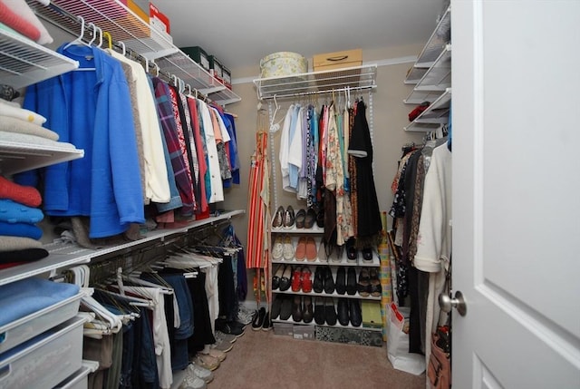16 John Francis Ln Unit 16, Acton, MA 01720 - walk in closet featuring carpet flooring