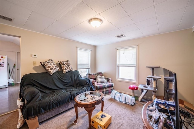 9 Sherman St, Westfield, MA 01085 - view of carpeted living area