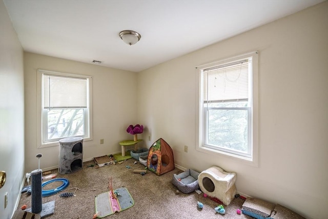 9 Sherman St, Westfield, MA 01085 - rec room with carpet floors