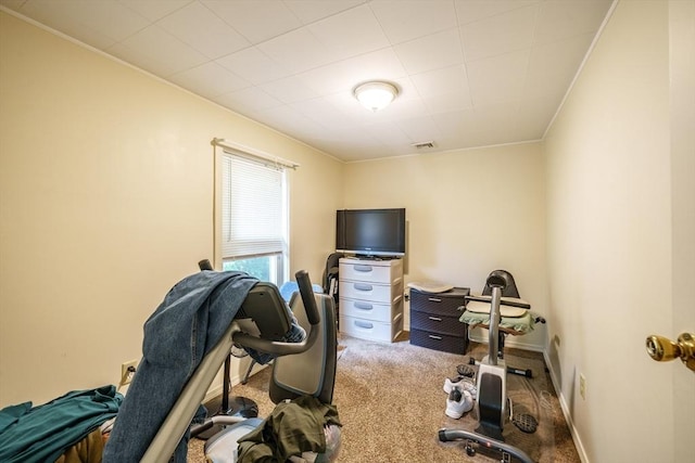 9 Sherman St, Westfield, MA 01085 - workout area with crown molding and carpet floors