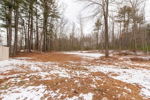 view of snowy landscape