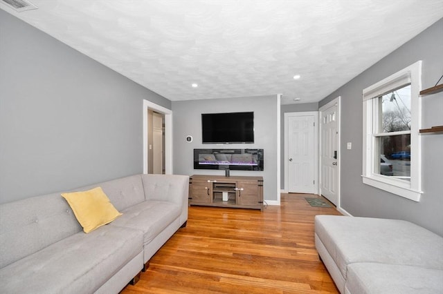 living room featuring light hardwood / wood-style floors