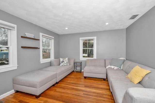 living room with light hardwood / wood-style floors and plenty of natural light