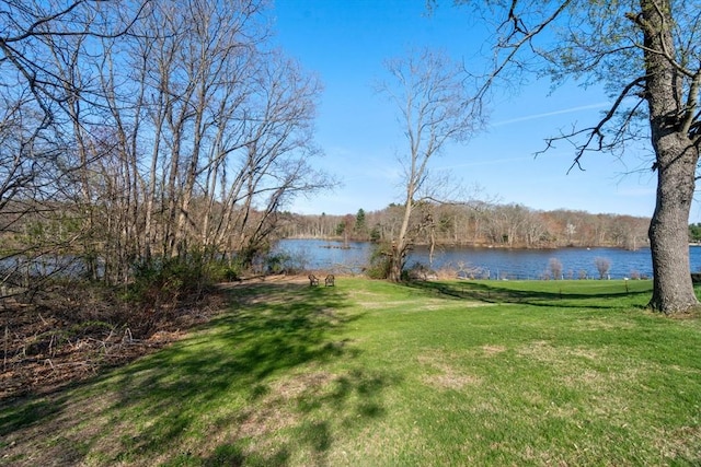 121 Purchase St, Milford, MA 01757 - view of grassy yard with a water view