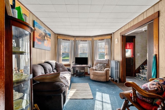 121 Purchase St, Milford, MA 01757 - sunroom / solarium with radiator, carpet flooring, and wooden walls