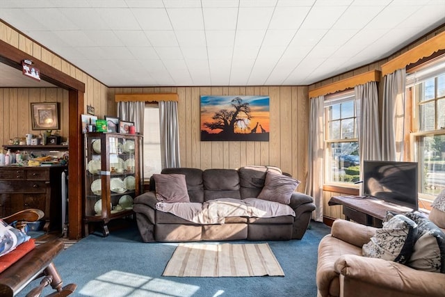 121 Purchase St, Milford, MA 01757 - living area with carpet and wood walls