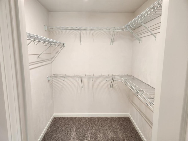 walk in closet with carpet