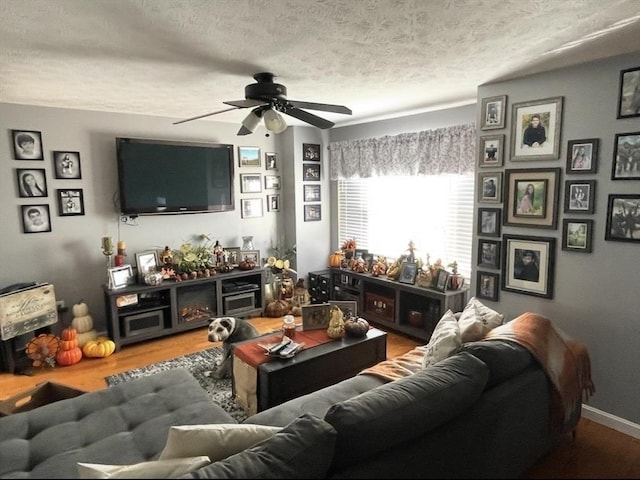 104 Orton St Unit 104, Worcester, MA 01604 - living room featuring a textured ceiling, a ceiling fan, and wood finished floors