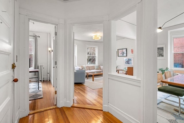 hall with radiator, baseboards, and light wood finished floors
