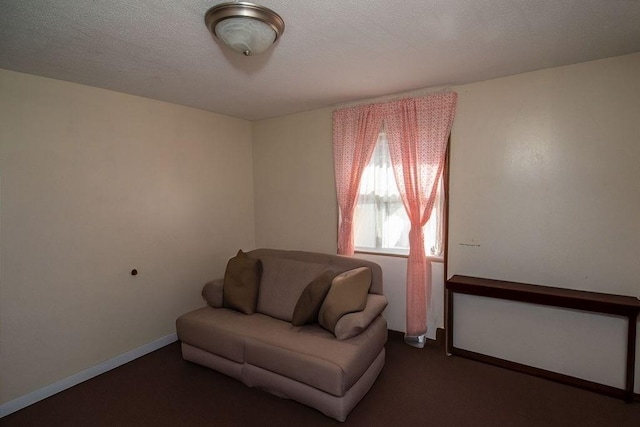 272 S Precinct, Taunton, MA 02718 - sitting room with carpet and a textured ceiling