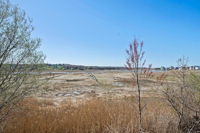 view of yard with a rural view
