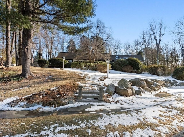 view of yard covered in snow