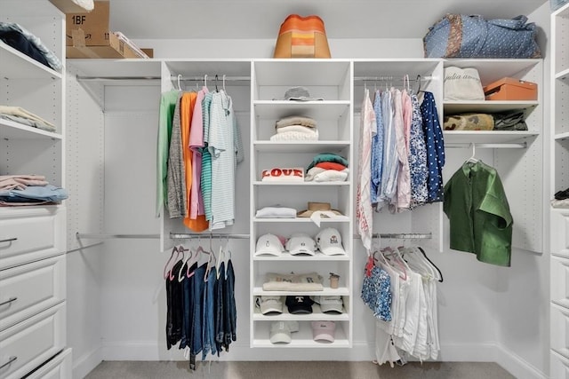 3 Aaron Rd, Lexington, MA 02421 - view of spacious closet