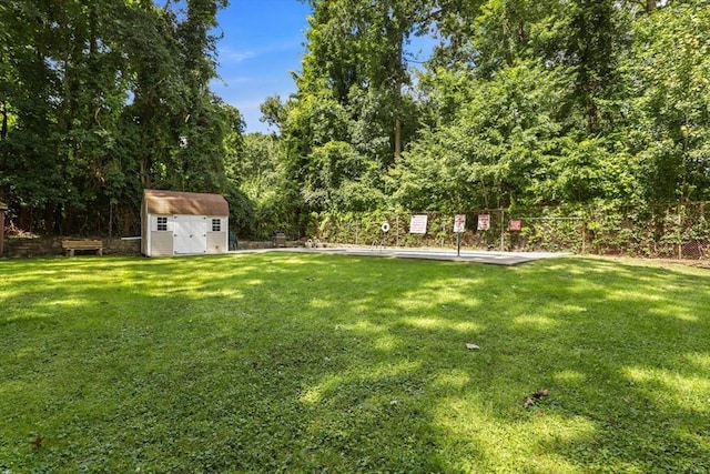 view of yard with a shed