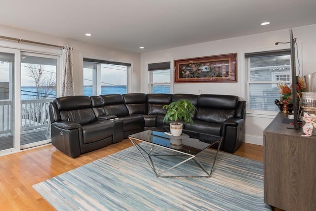 living room featuring hardwood / wood-style floors