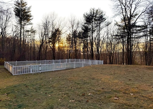 view of yard at dusk