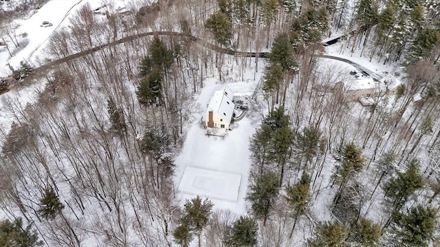 view of snowy aerial view