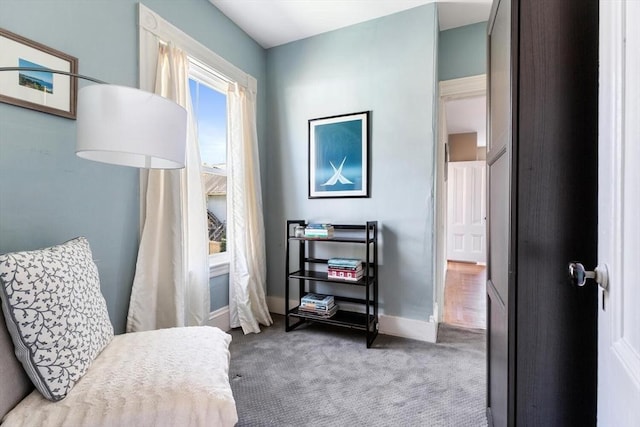 living area with carpet floors and baseboards