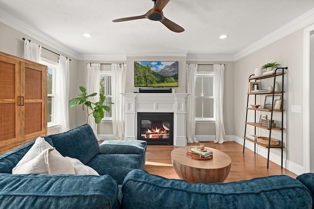 11 Bailey Pond Ln Unit 11, Amesbury, MA 01913 - living room featuring wood finished floors, a ceiling fan, crown molding, baseboards, and a glass covered fireplace