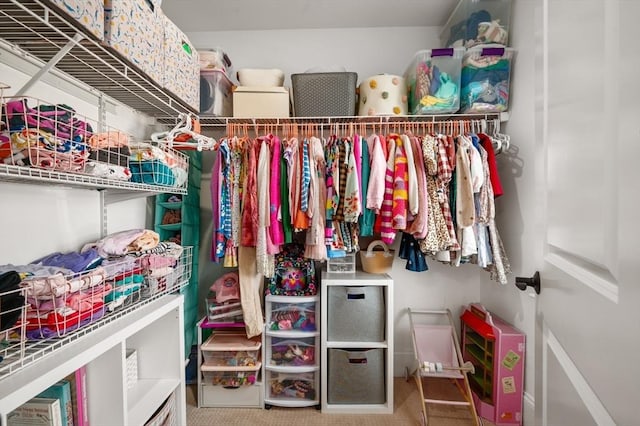 11 Bailey Pond Ln Unit 11, Amesbury, MA 01913 - spacious closet with carpet floors