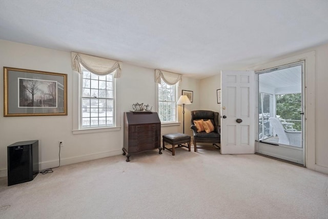 living area featuring carpet flooring