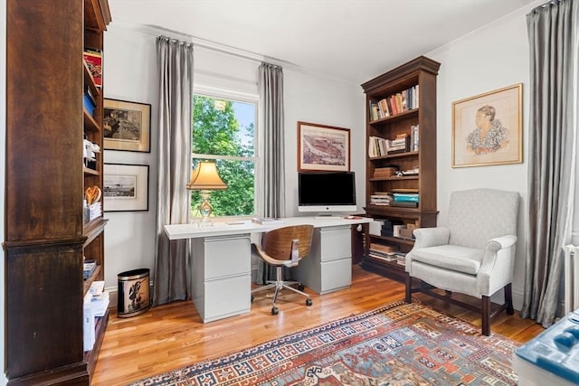 250 Arlington St Unit A, Acton, MA 01720 - office featuring light wood-style flooring and ornamental molding
