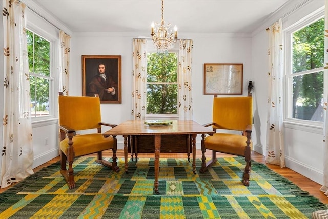 250 Arlington St Unit A, Acton, MA 01720 - living area featuring plenty of natural light, a chandelier, wood finished floors, baseboards, and crown molding
