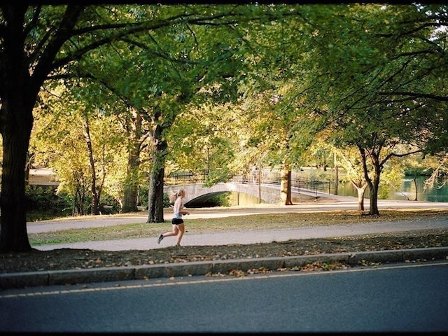 view of home's community