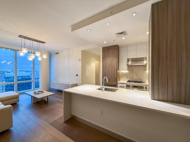 kitchen with sink, hanging light fixtures, white cabinetry, light stone counters, and wood-type flooring