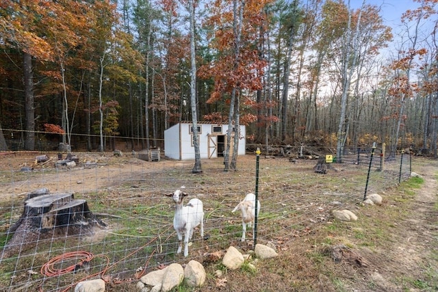 view of yard featuring a storage unit