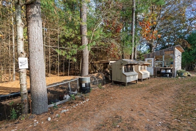 view of yard featuring a shed