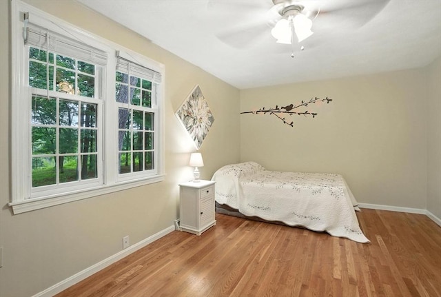 814 Wellman Ave Unit 814, Chelmsford, MA 01863 - bedroom with light wood-style floors and ceiling fan