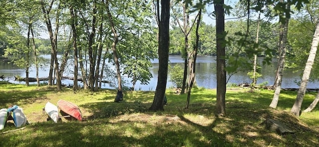 814 Wellman Ave Unit 814, Chelmsford, MA 01863 - water view