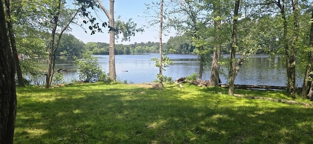 814 Wellman Ave Unit 814, Chelmsford, MA 01863 - water view featuring a forest