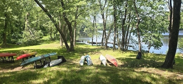 814 Wellman Ave Unit 814, Chelmsford, MA 01863 - surrounding community with a water view and a lawn