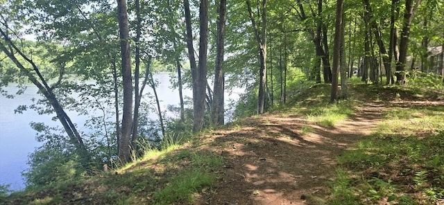 814 Wellman Ave Unit 814, Chelmsford, MA 01863 - view of local wilderness featuring a large body of water