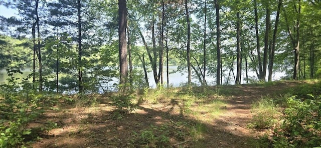 814 Wellman Ave Unit 814, Chelmsford, MA 01863 - view of nature