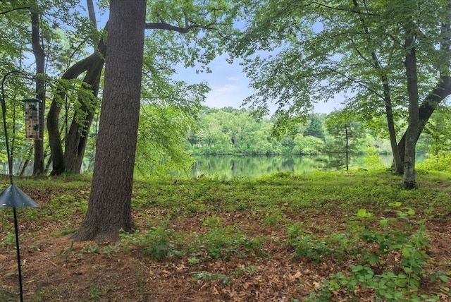 814 Wellman Ave Unit 814, Chelmsford, MA 01863 - view of wooded area with a water view