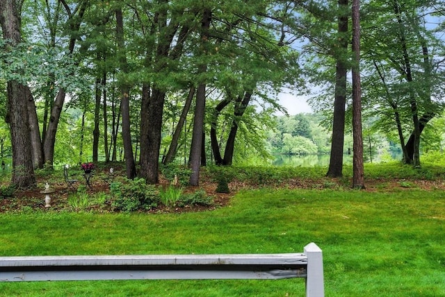 814 Wellman Ave Unit 814, Chelmsford, MA 01863 - view of green lawn