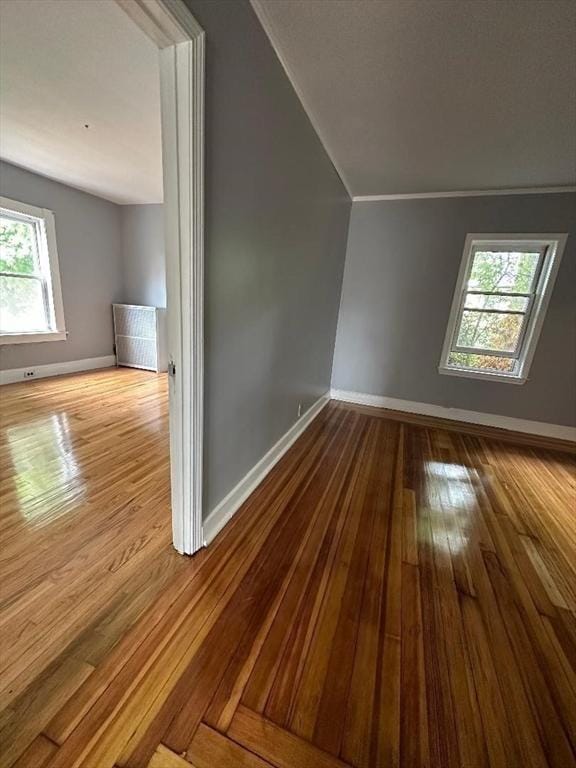 additional living space with lofted ceiling, baseboards, and wood-type flooring