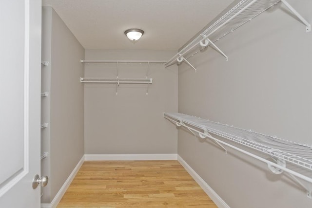 15 Fernwood Dr, East Longmeadow, MA 01028 - spacious closet featuring light wood finished floors