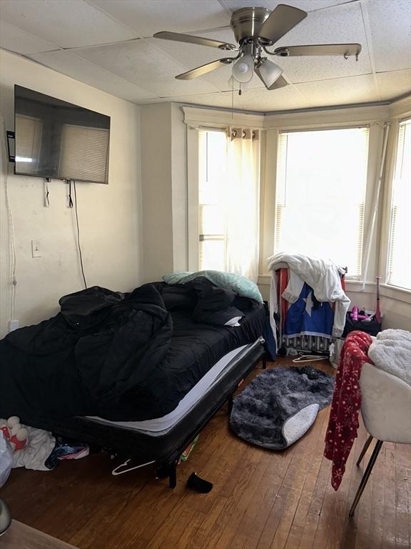 bedroom featuring hardwood / wood-style floors, a drop ceiling, and ceiling fan