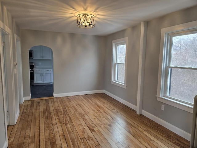 spare room featuring a healthy amount of sunlight and light hardwood / wood-style flooring