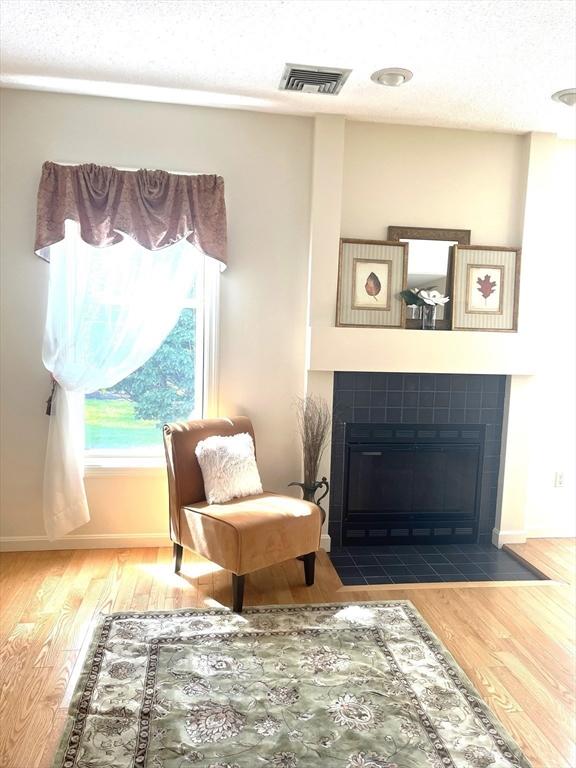 38 Hammond Pl Unit 38, Woburn, MA 01801 - living area featuring a fireplace and wood finished floors