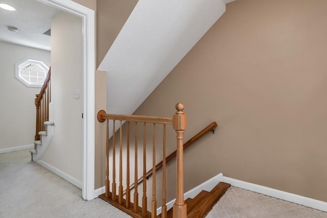 stairs featuring carpet flooring